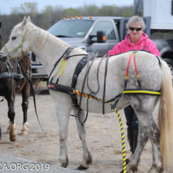 Navigator, Driving Bits and Harnessing Clinic
