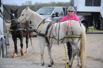 Navigator, Driving Bits and Harnessing Clinic